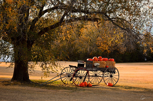 Pumpkin Wagon - Dorrance, KS
