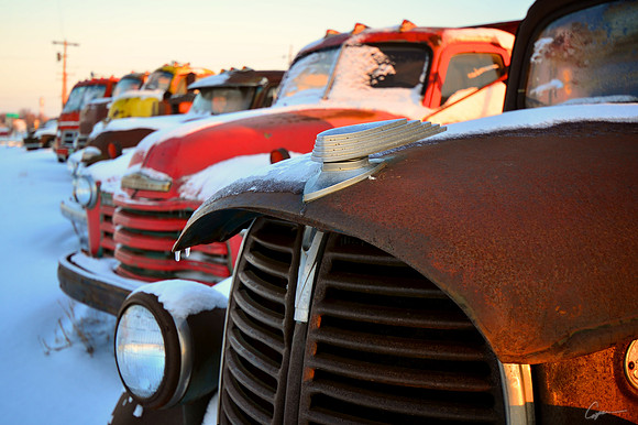 1938 Ford Pickup - Cawker City, KS