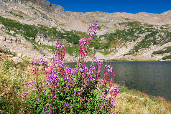 PRI_5493