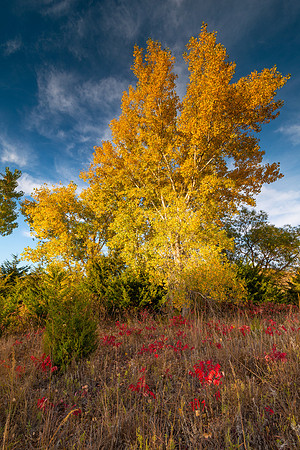 Rocktown Natural Area - Wilson Lake