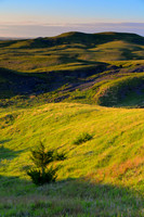 Rural Landscapes