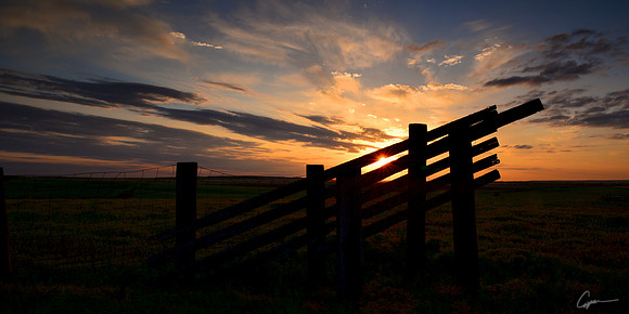 Cattle Chute - Osborne County, KS
