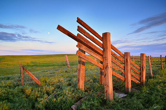 Cattle Chute - Osborne County, KS