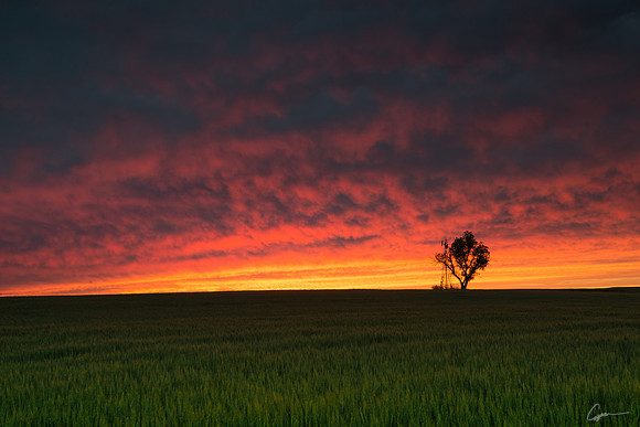 Osborne County, KS