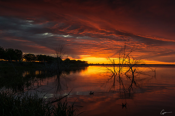 North Fork Sunrise