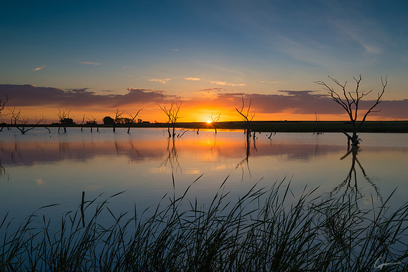 Mill Creek Sunrise