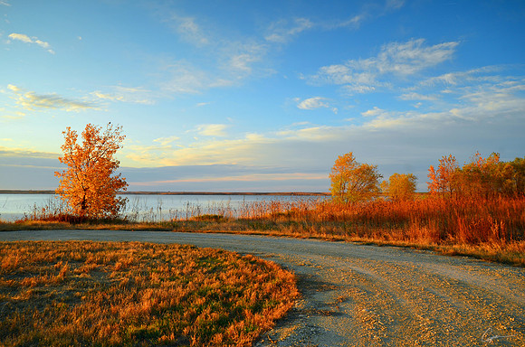 Gray's Park Area