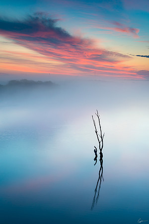 Foggy Sunrise - North Fork Area