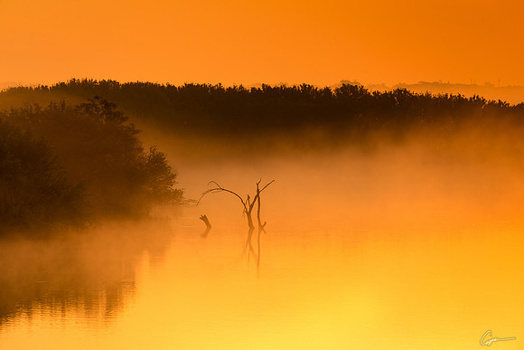 Foggy Sunrise - North Fork Area