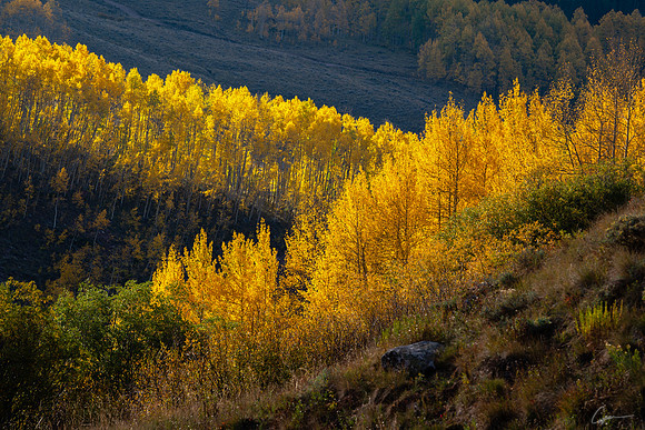 PRI_7574