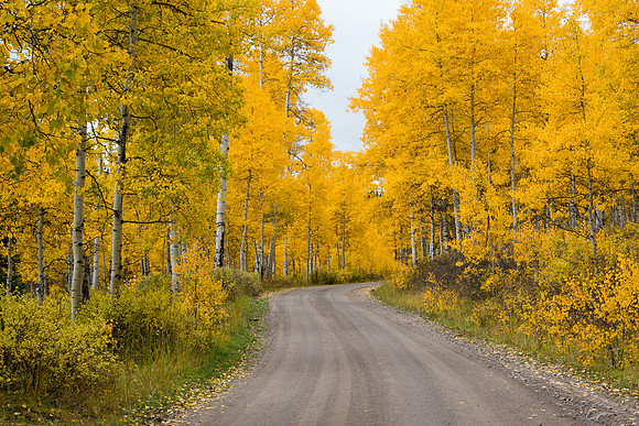 Along Stevens Gulch Road near Paonia, CO