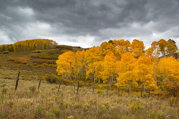 Along Last Dollar Road, near Ridgway, CO