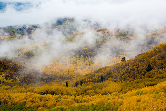 Along County Road 265, Gunnison National Forest