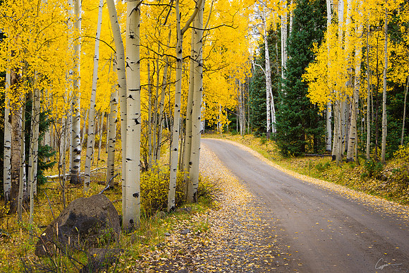 Along Stevens Gulch Road near Paonia, CO