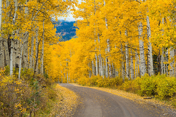 Along Stevens Gulch Road near Paonia, CO