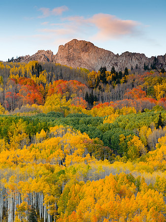 Horse Ranch Park Area, near Crested Butte, CO