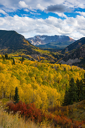 Overlooking Sheep Mountain and San Miguel Peak, near Ophir, CO