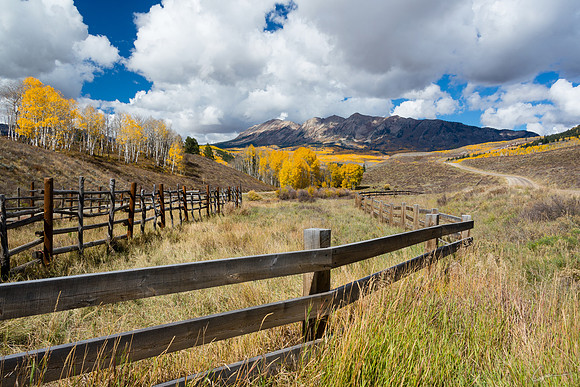 Along Ohio Pass Road, near Crested Butte, CO