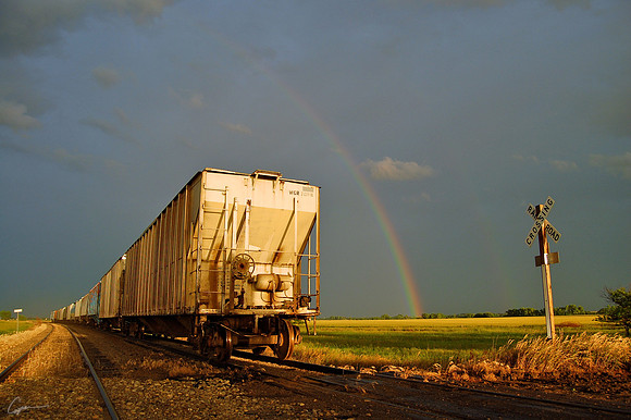 Railcars #4