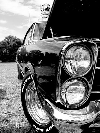 GTO
