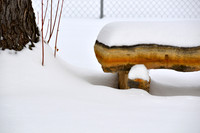 Backyard Bench