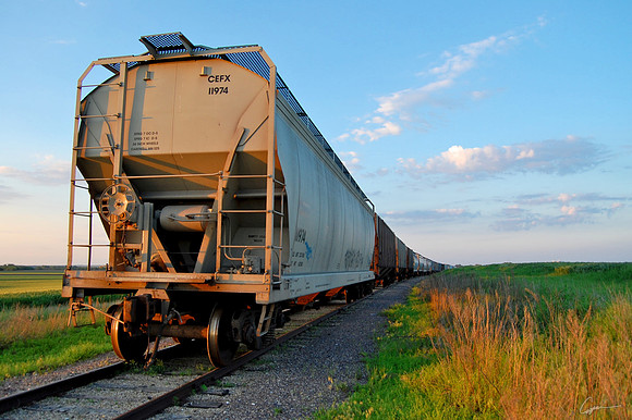 Railcars #3